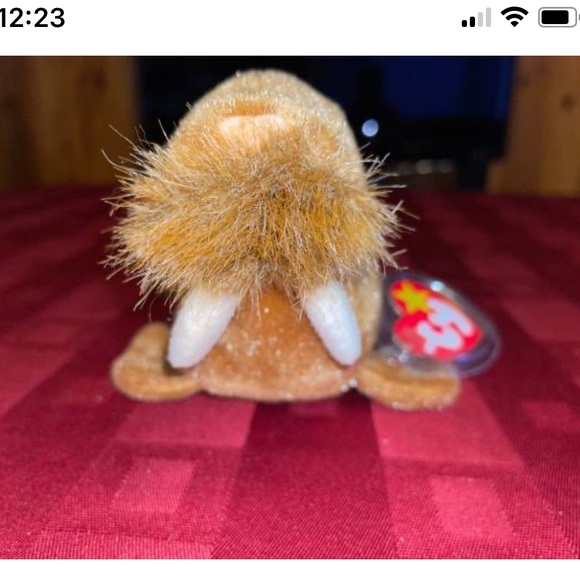 TY (1999) - 5 Beanie Babies Collected (New) Lot - Picture 13 of 16